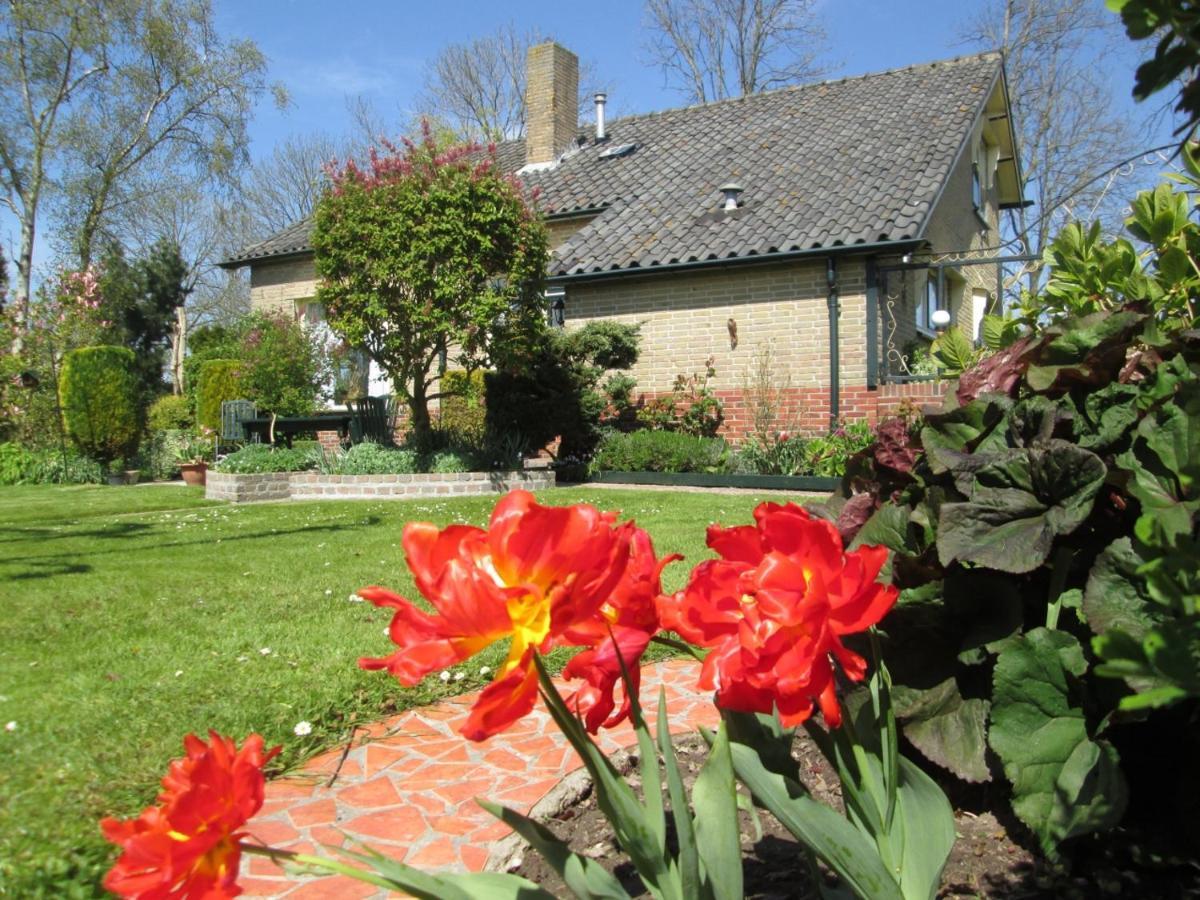 B&B Elbahof, Goed En Goedkoop! Hem Экстерьер фото