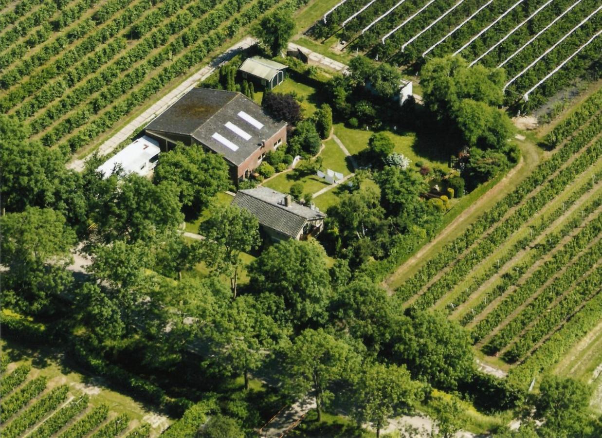B&B Elbahof, Goed En Goedkoop! Hem Экстерьер фото